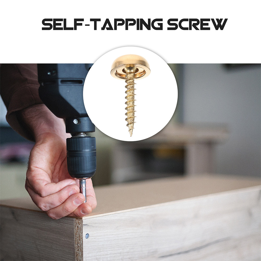 8個入り装飾キャップスクリュー 真鍮製ミラースクリュー 装飾 - Woodworking Projects Art のレビューと価格